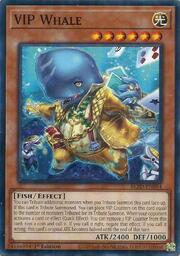 BLZD-EN084 VIP Whale Common